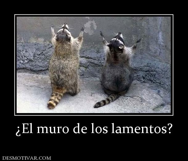 ¿El muro de los lamentos?