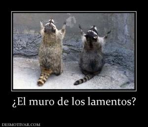 ¿El muro de los lamentos?