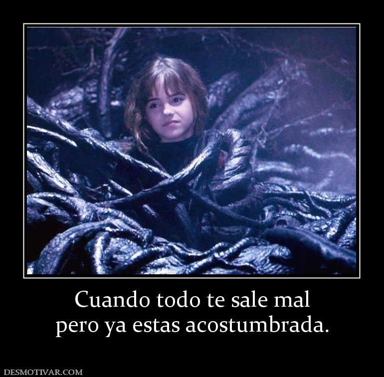 Cuando todo te sale mal pero ya estas acostumbrada.