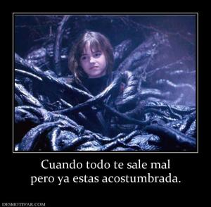 Cuando todo te sale mal pero ya estas acostumbrada.