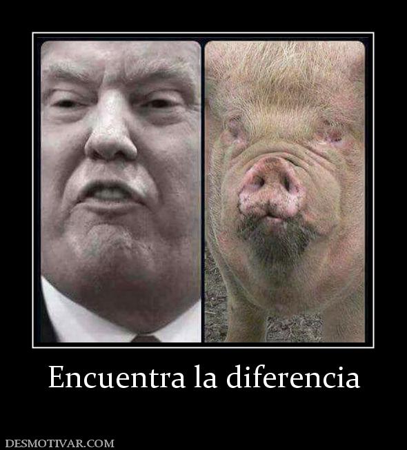 Encuentra la diferencia