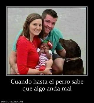Cuando hasta el perro sabe que algo anda mal