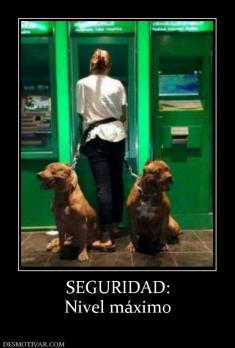 SEGURIDAD: Nivel máximo
