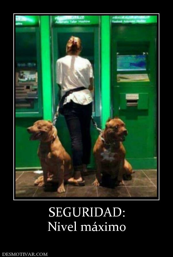 SEGURIDAD: Nivel máximo