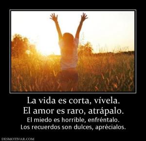 La vida es corta, vívela. El amor es raro, atrápalo. El miedo es horrible, enfréntalo. Los recuerdos son dulces, aprécialos.