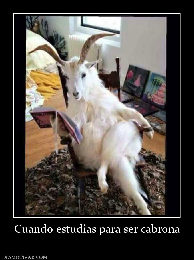 Cuando estudias para ser cabrona