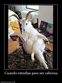 Cuando estudias para ser cabrona