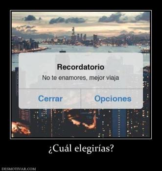¿Cuál elegirías?