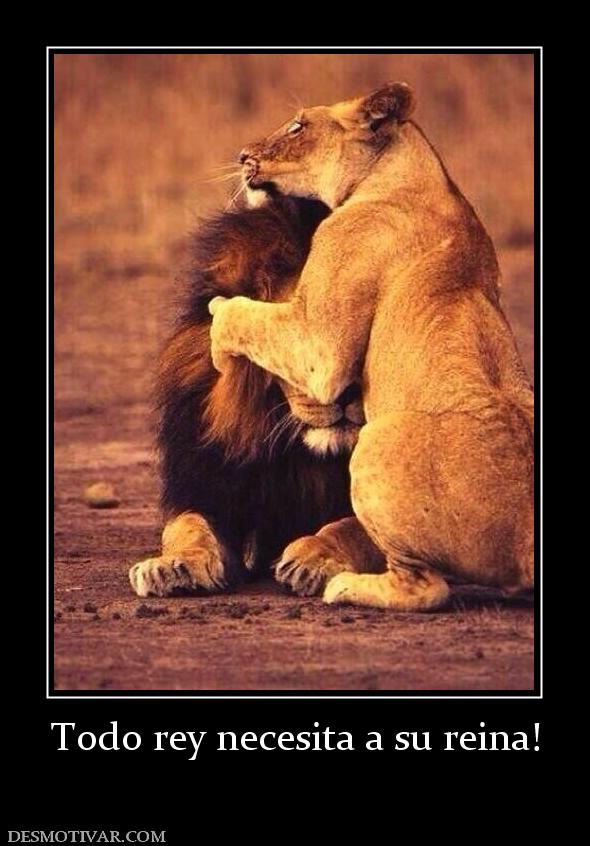 Todo rey necesita a su reina!