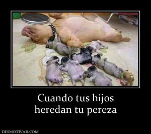 Cuando tus hijos heredan tu pereza