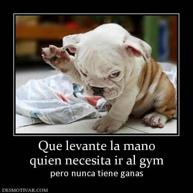 Que levante la mano quien necesita ir al gym pero nunca tiene ganas