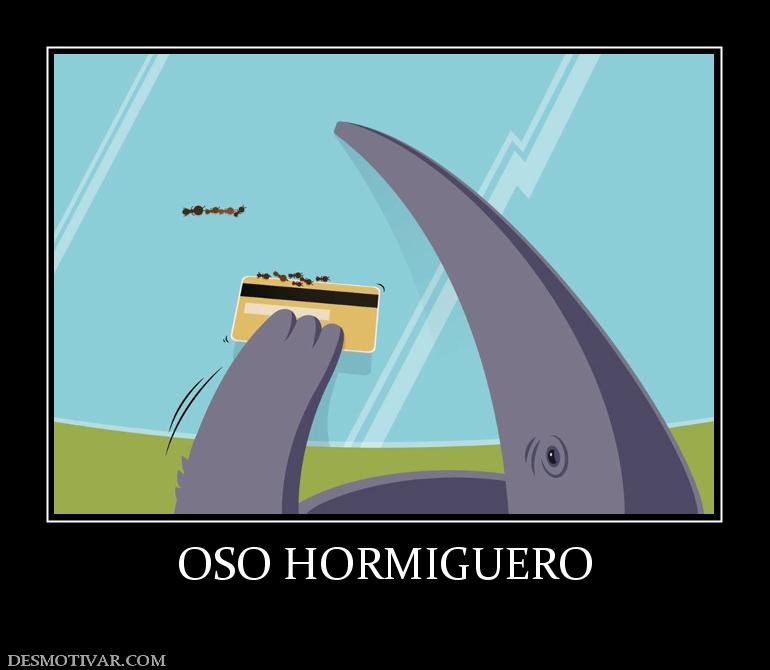 OSO HORMIGUERO