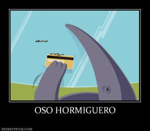 OSO HORMIGUERO