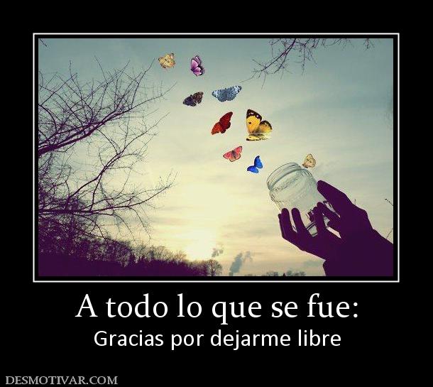 A todo lo que se fue: Gracias por dejarme libre