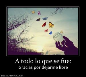 A todo lo que se fue: Gracias por dejarme libre