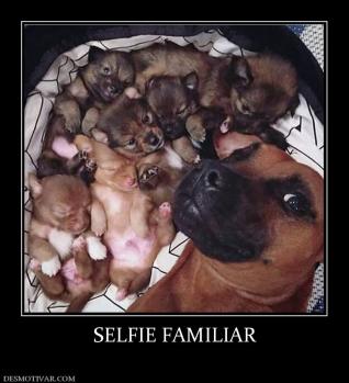 SELFIE FAMILIAR