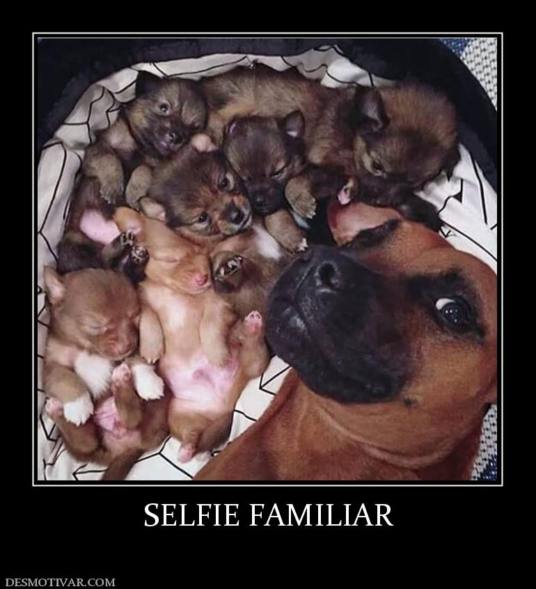 SELFIE FAMILIAR
