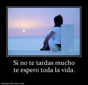 Si no te tardas mucho te espero toda la vida.