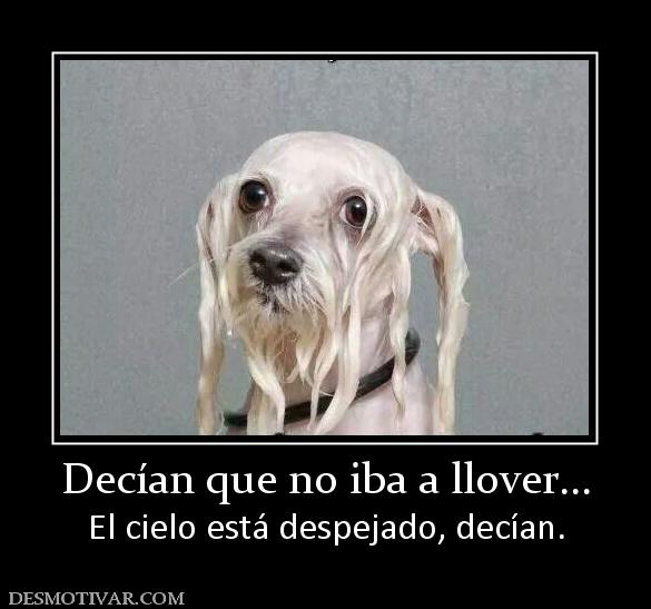 Decían que no iba a llover... El cielo está despejado, decían.