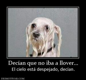 Decían que no iba a llover... El cielo está despejado, decían.