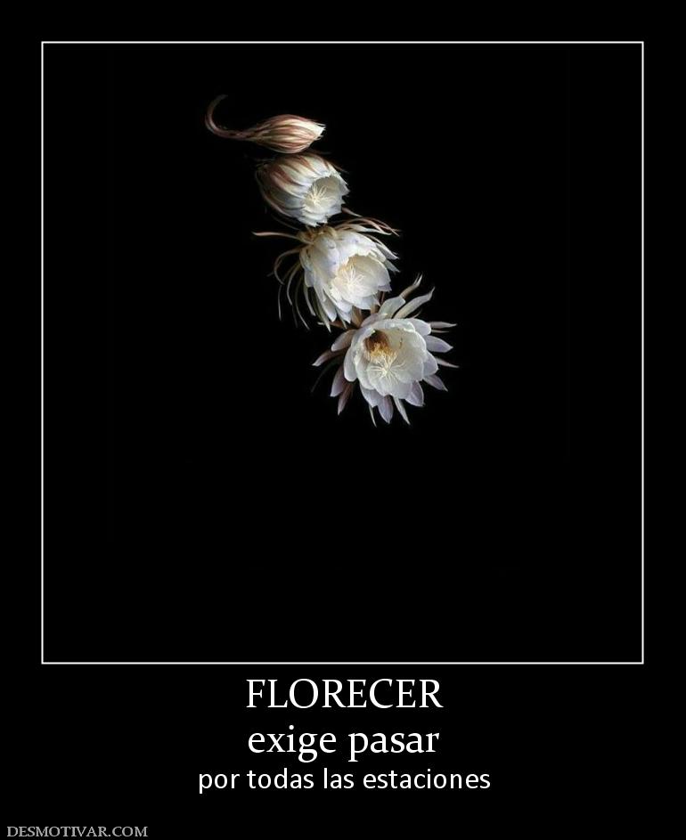 FLORECER exige pasar por todas las estaciones