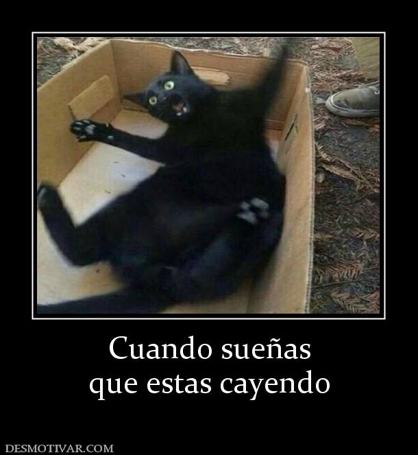 Cuando sueñas que estas cayendo