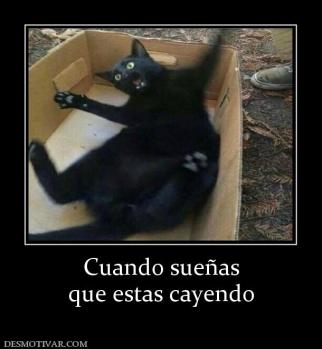 Cuando sueñas que estas cayendo
