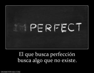 El que busca perfección busca algo que no existe.