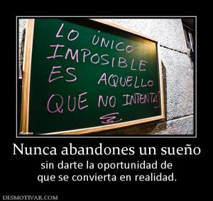 Nunca abandones un sueño sin darte la oportunidad de que se convierta en realidad.