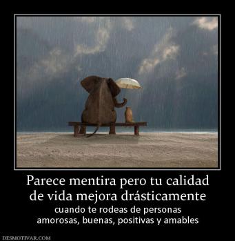 Parece mentira pero tu calidad de vida mejora drásticamente cuando te rodeas de personas amorosas, buenas, positivas y amables