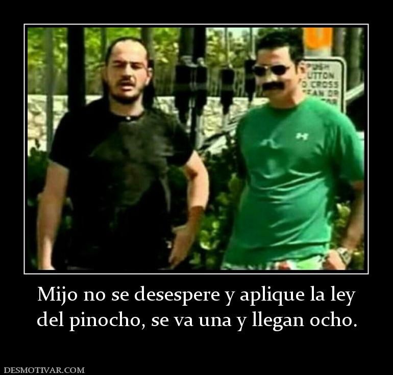 Mijo no se desespere y aplique la ley del pinocho, se va una y llegan ocho.