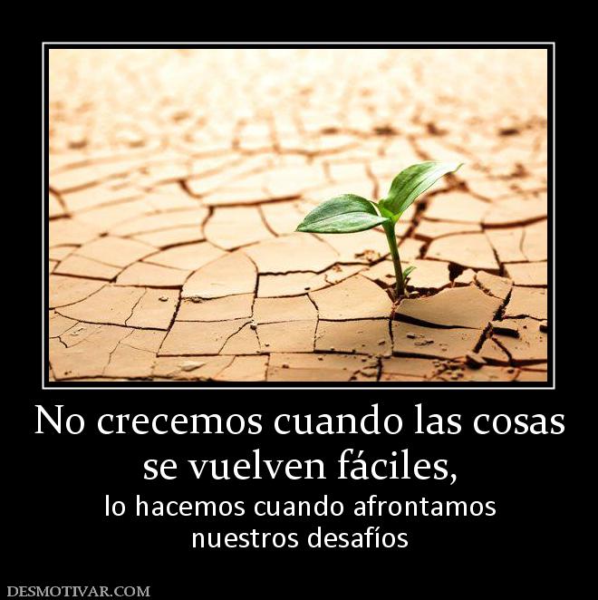 No crecemos cuando las cosas se vuelven fáciles,  lo hacemos cuando afrontamos nuestros desafíos