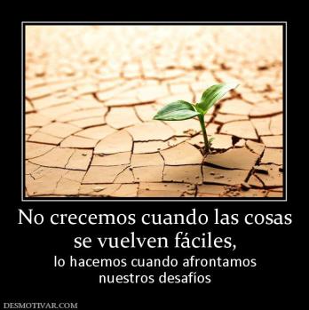 No crecemos cuando las cosas se vuelven fáciles,  lo hacemos cuando afrontamos nuestros desafíos