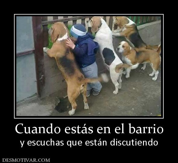 Cuando estás en el barrio y escuchas que están discutiendo