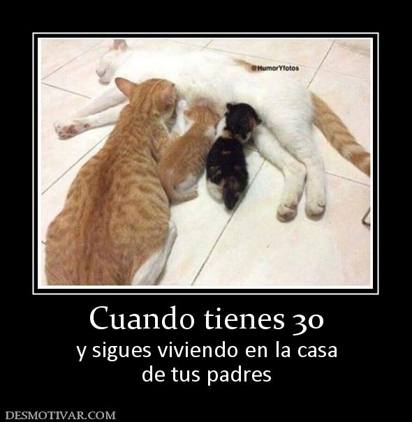 Cuando tienes 30 y sigues viviendo en la casa de tus padres