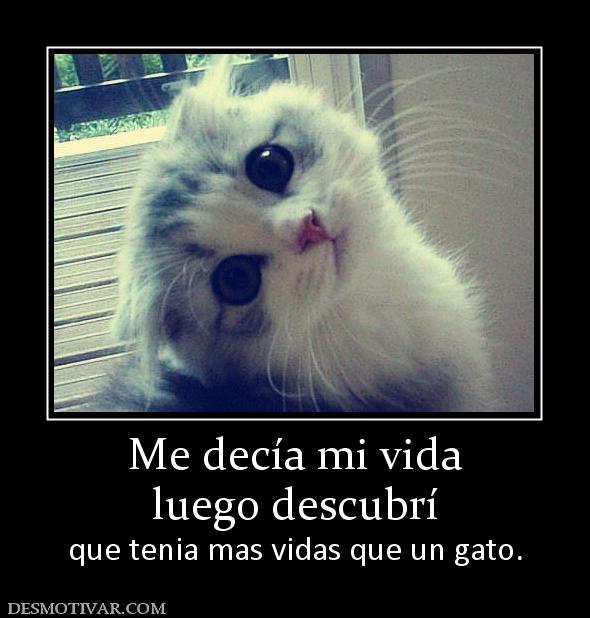 Me decía mi vida luego descubrí  que tenia mas vidas que un gato.