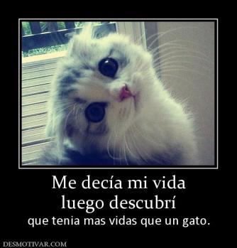 Me decía mi vida luego descubrí  que tenia mas vidas que un gato.