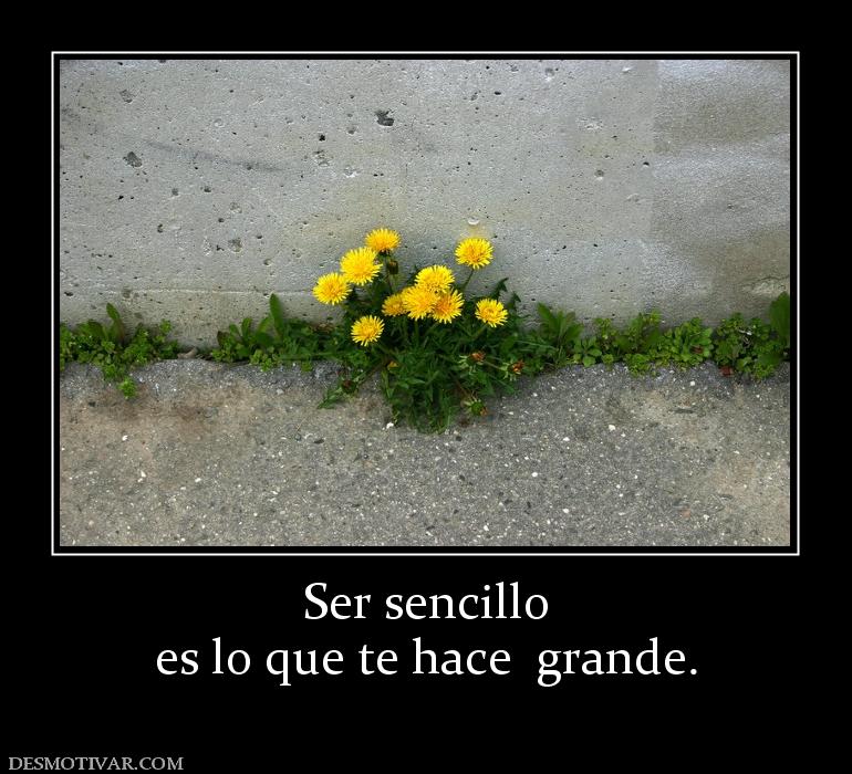 Ser sencillo es lo que te hace  grande.