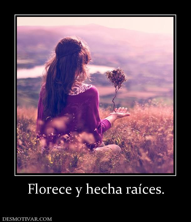 Florece y hecha raíces.