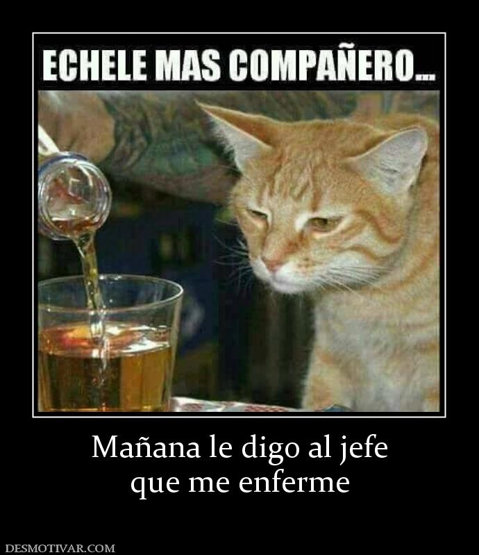 Mañana le digo al jefe que me enferme
