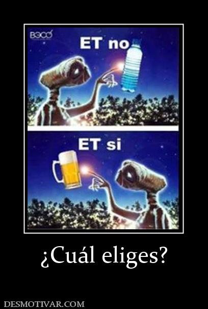 ¿Cuál eliges?