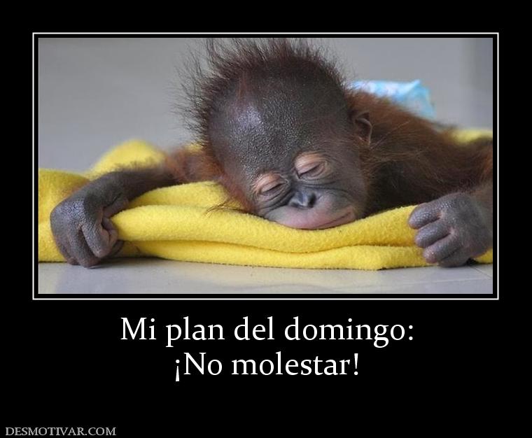 Mi plan del domingo: ¡No molestar!
