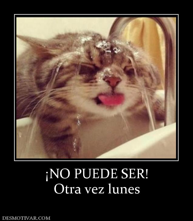 ¡NO PUEDE SER! Otra vez lunes