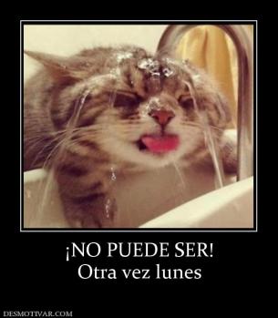 ¡NO PUEDE SER! Otra vez lunes