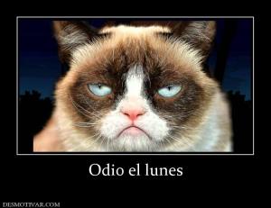 Odio el lunes