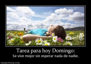 Tarea para hoy Domingo: Se vive mejor sin esperar nada de nadie.