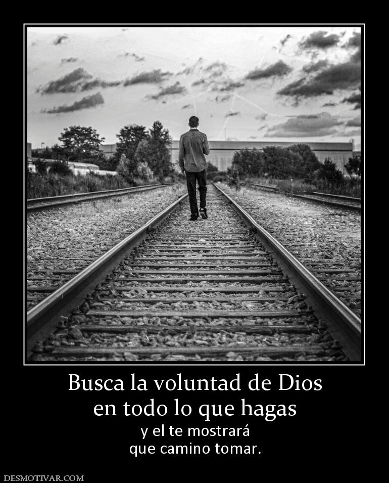 Busca la voluntad de Dios en todo lo que hagas y el te mostrará que camino tomar.