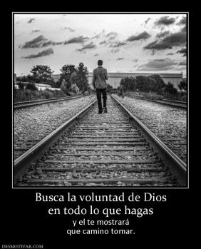 Busca la voluntad de Dios en todo lo que hagas y el te mostrará que camino tomar.