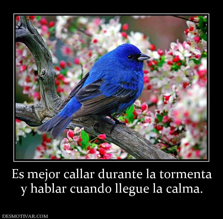 Es mejor callar durante la tormenta y hablar cuando llegue la calma.