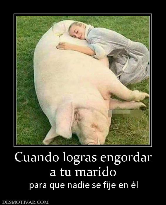 Cuando logras engordar a tu marido para que nadie se fije en él